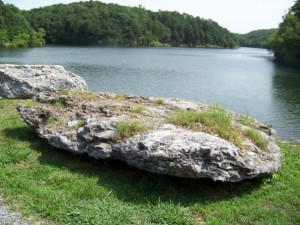 A big rock near a small lake in Bella Vista, Arkansas. (Taken July 2009)